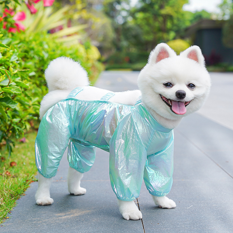https://fulmo-img-server.com/perry-dog/45b1a2e2-d129-4011-a5e6-5592a88e8361.jpg