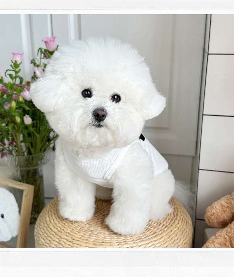 犬服 動物フェイス刺繍入りワッフル地トレーナー