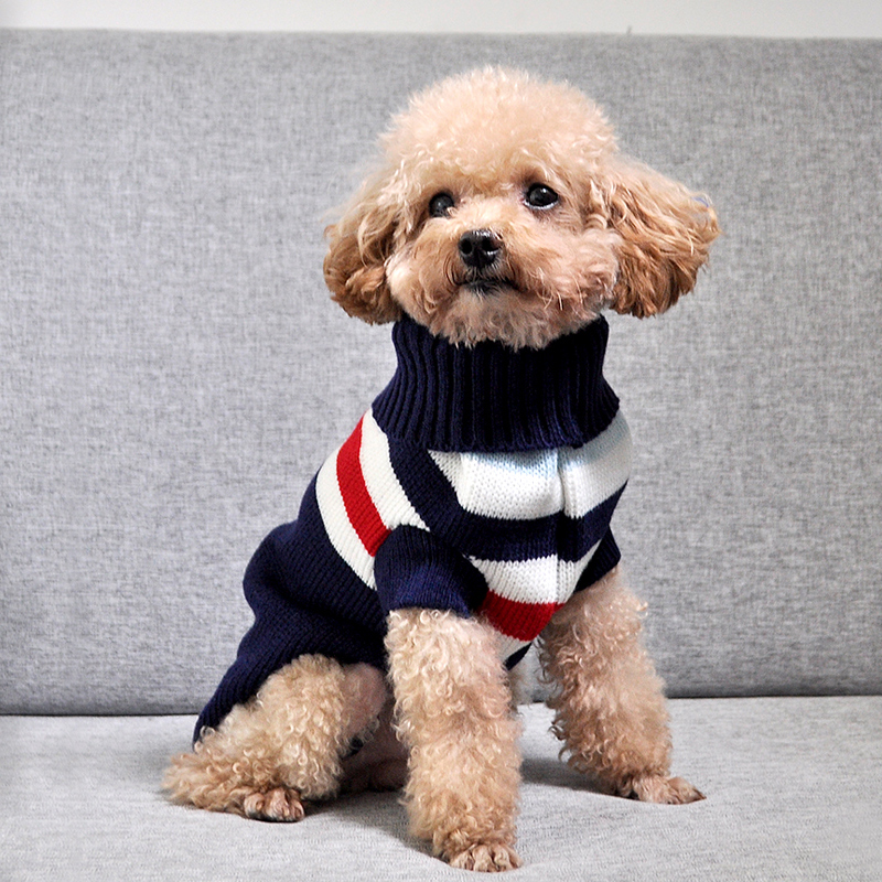 犬服 小型犬用タートルネックニットセーター