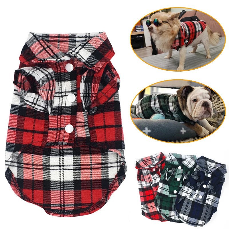 https://fulmo-img-server.com/perry-dog/4938d068-8fc2-499a-a5d1-ff35f7611498.jpg