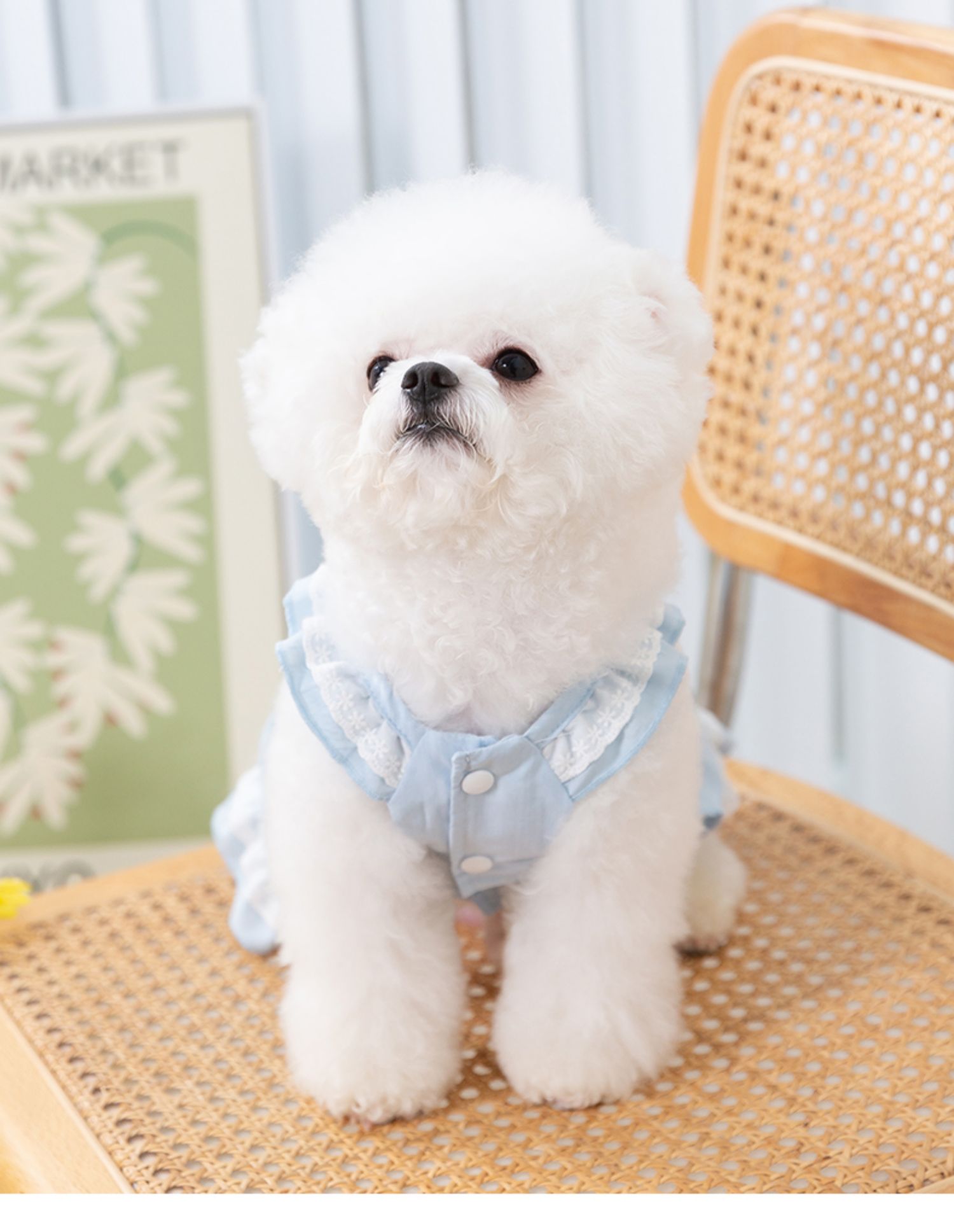 犬服 フリル襟プリーツスカート付き愛犬用ワンピース