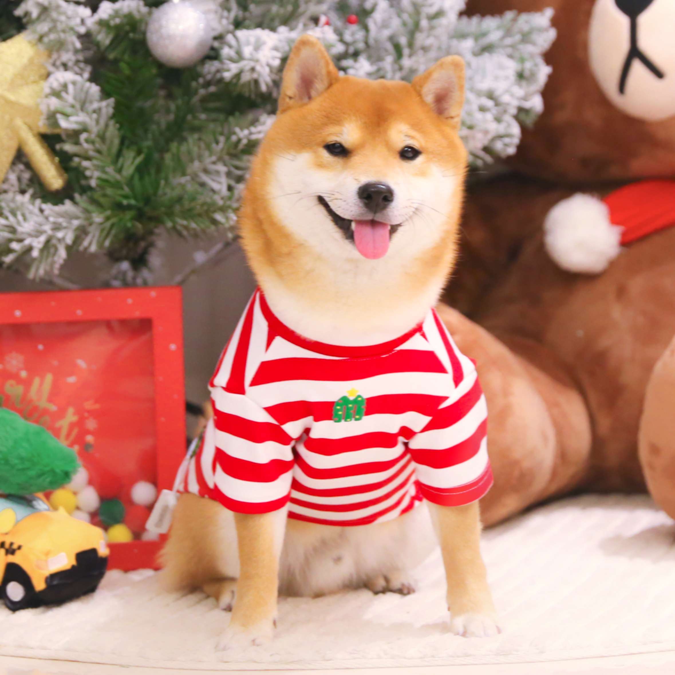 ×犬服 クリスマス柄もこもこベスト