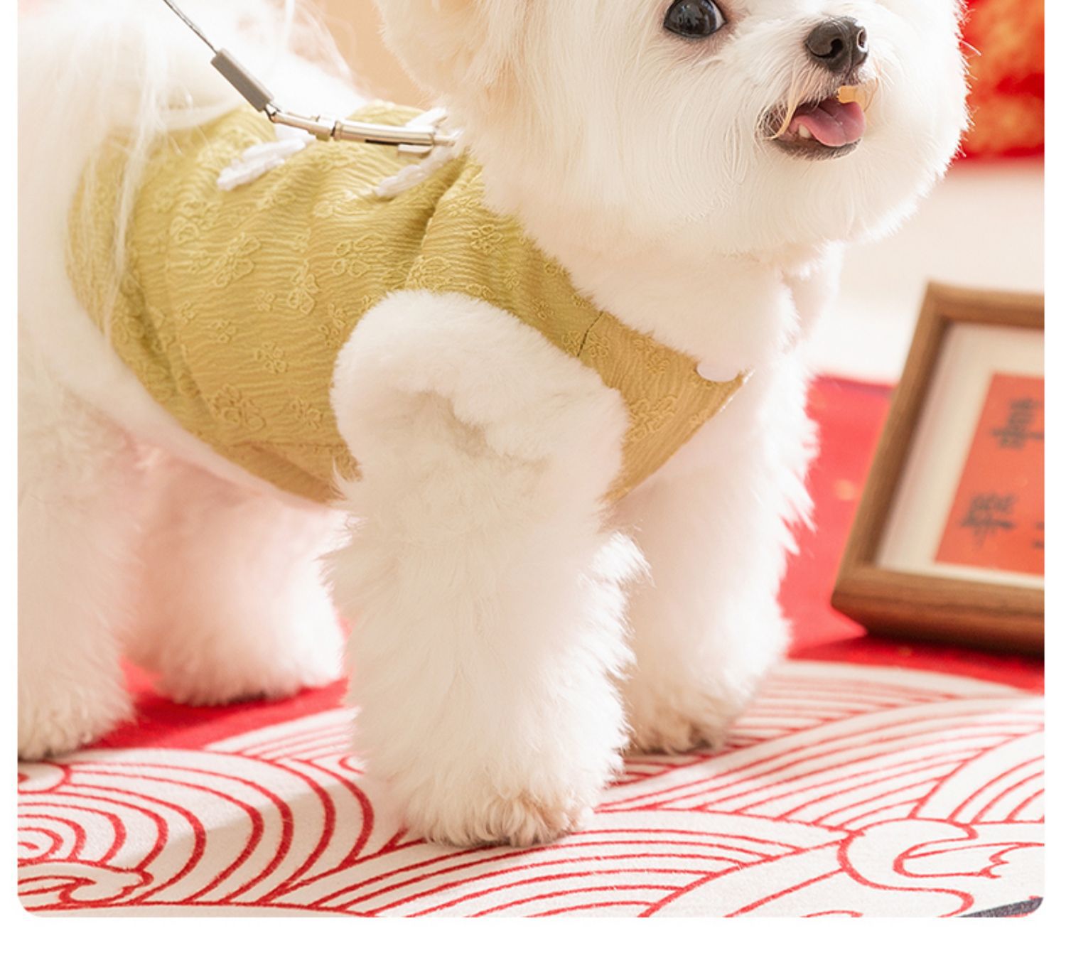犬服 伝統花柄刺繍入り縁起の良いお祝い袖なしワンピース