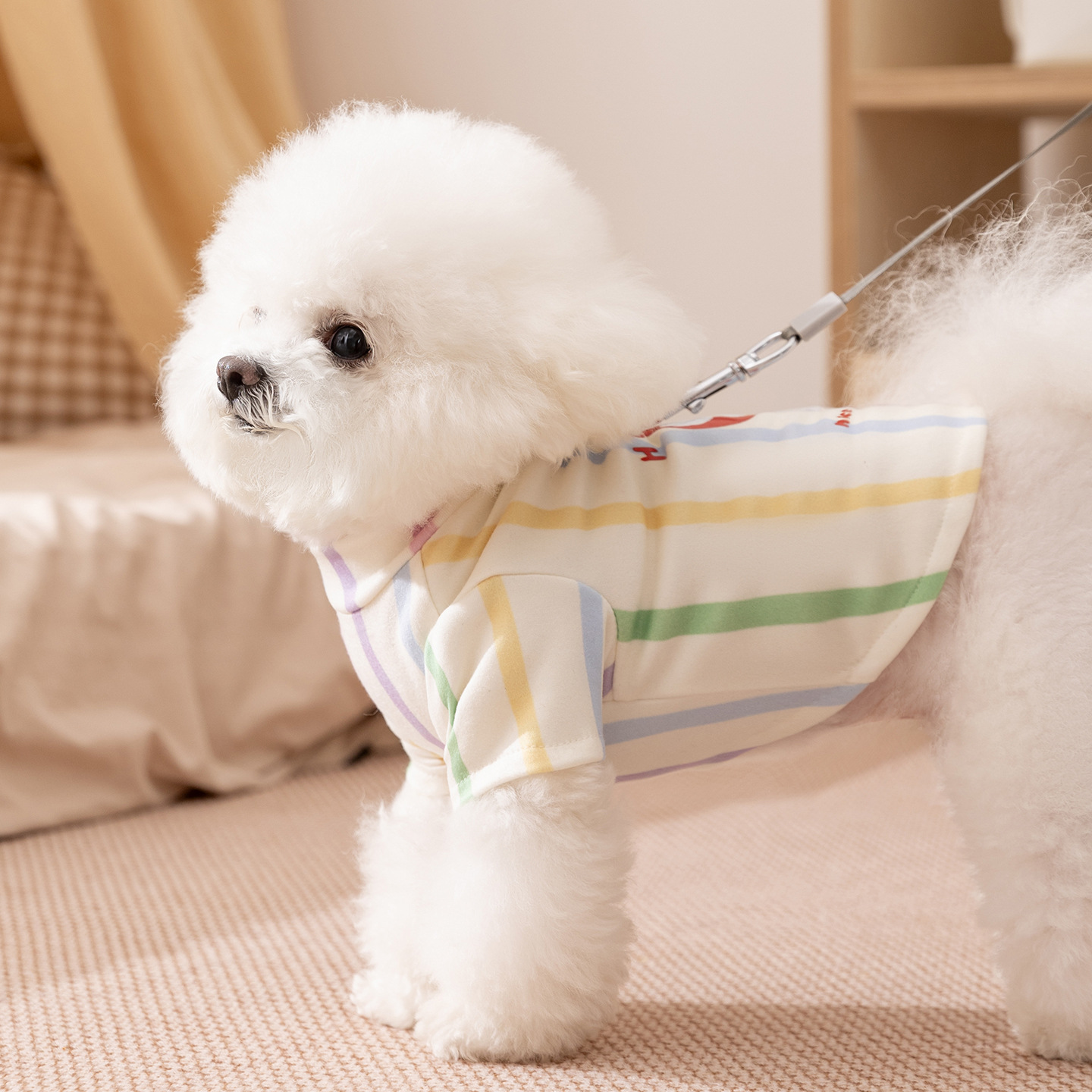 犬服 虹色ストライプ柄子犬プリント裏毛トレーナー