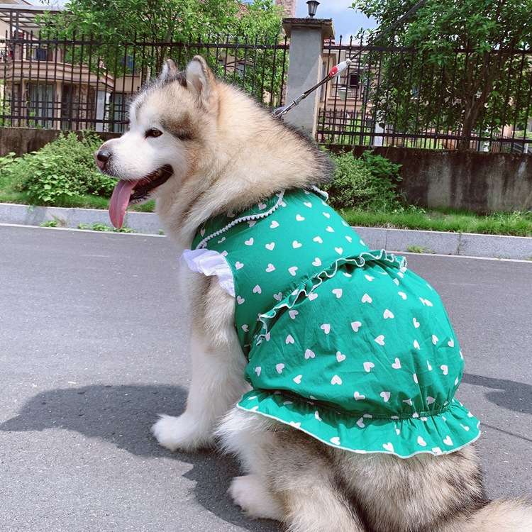 犬服  ハートドレス ワンピース 中型犬用