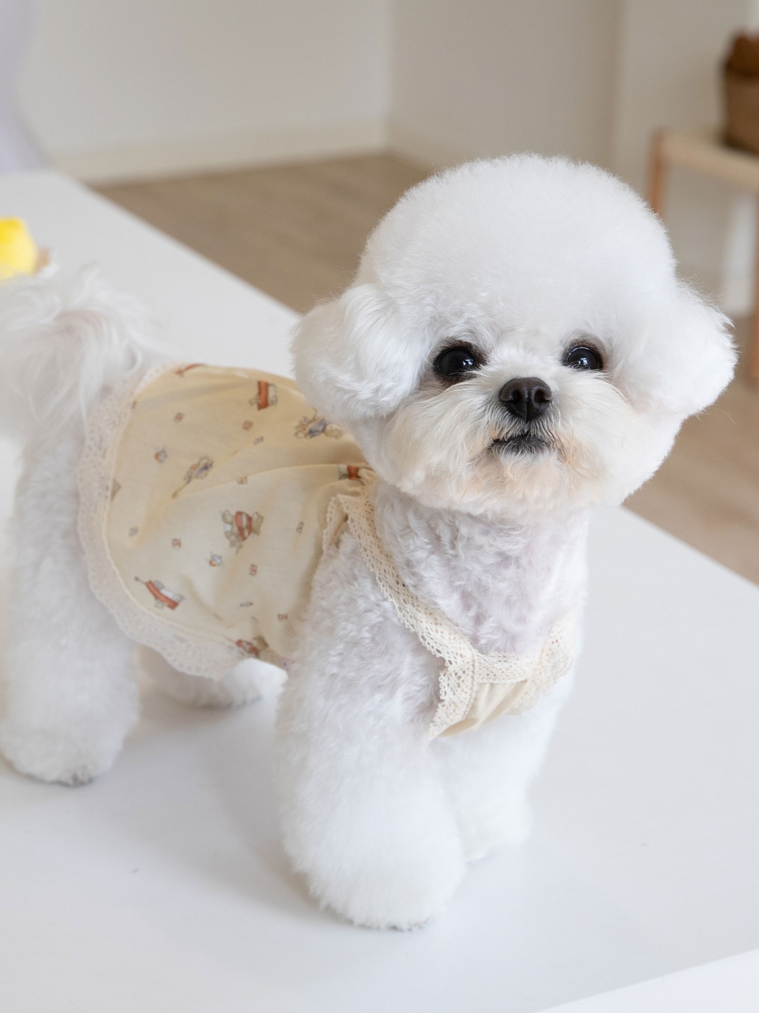 犬服 おやすみ小花レースパジャマ