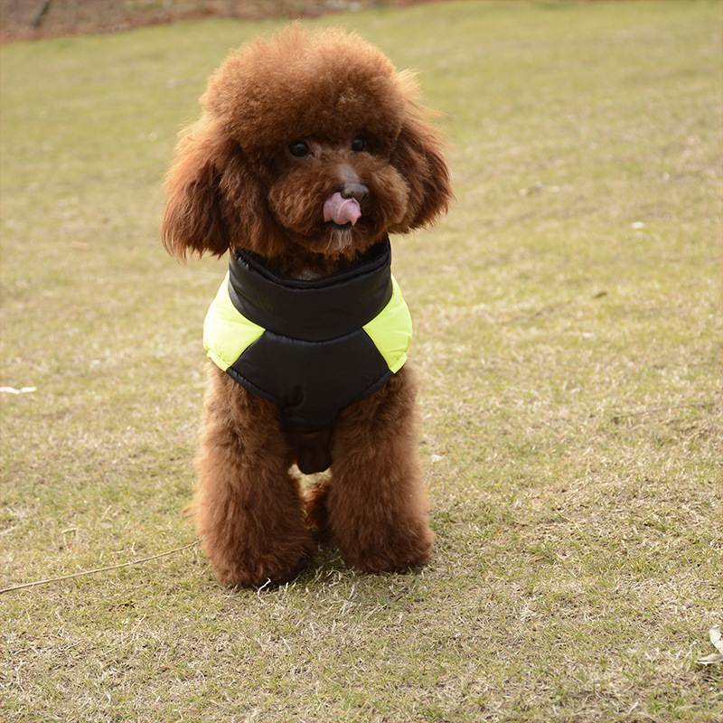 犬服 切替配色デザインの軽量防寒ダウンベスト