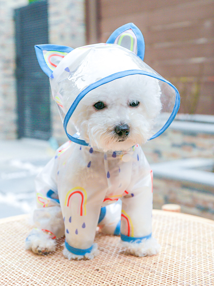 犬服 にじいろうさぎ耳レインコート