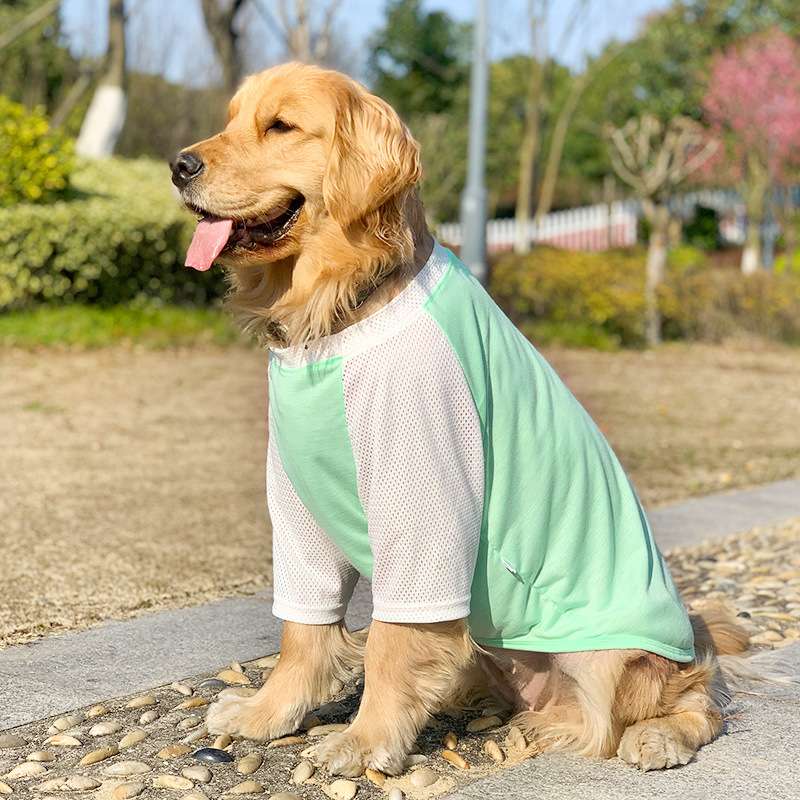 犬服  涼感メッシュ生地の大型犬用Tシャツ