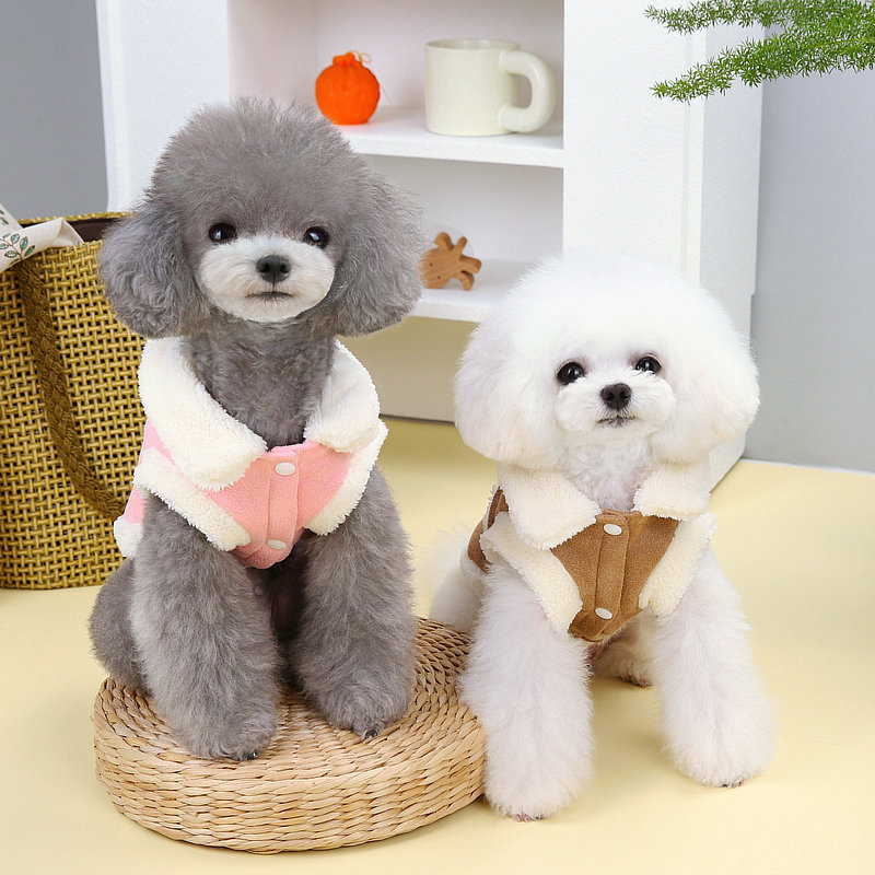 https://fulmo-img-server.com/perry-dog/52190fee-ed12-4dd6-987e-f5ea1207a485.jpg