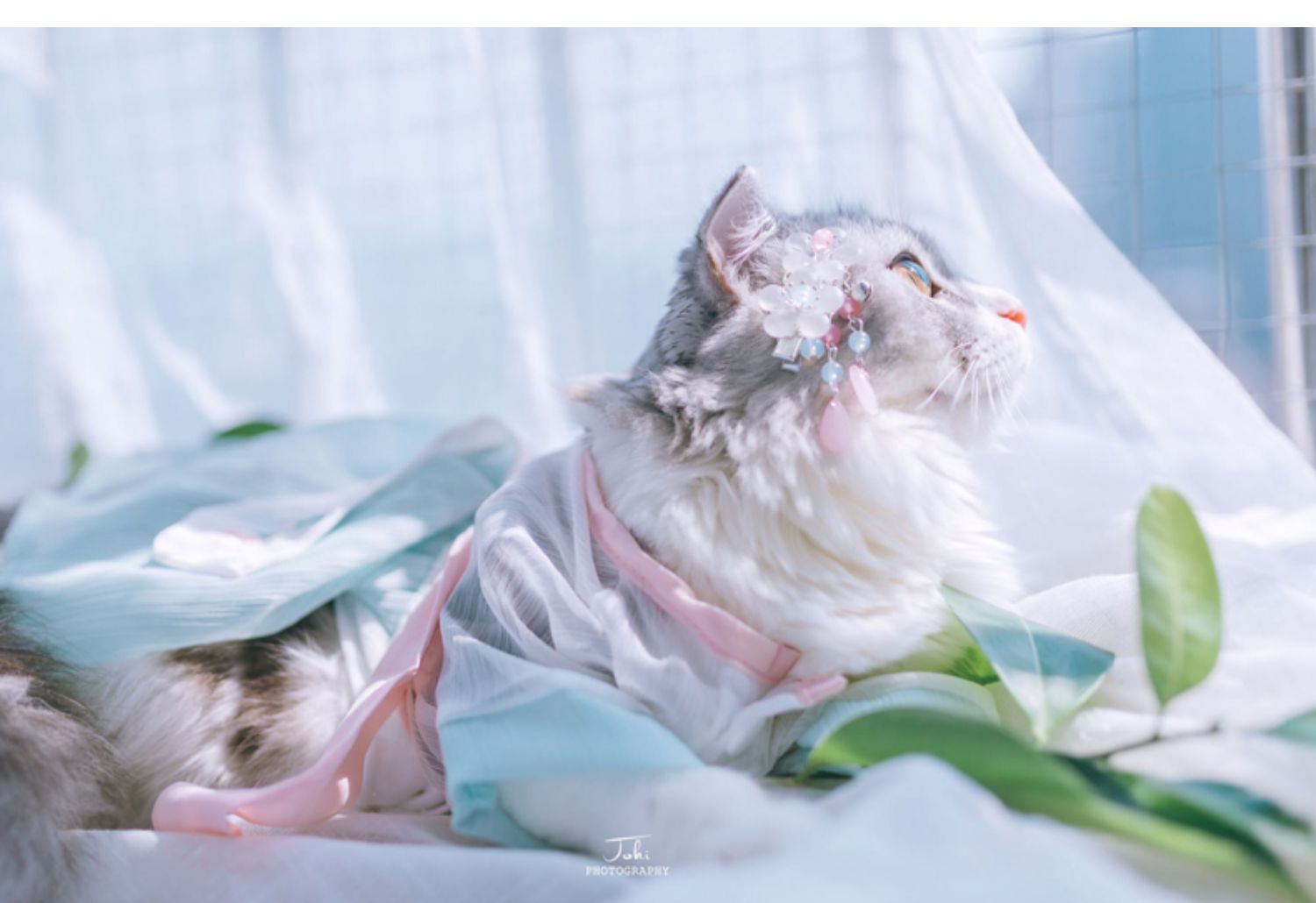 犬服 和風花柄刺繍入り袴風犬用着物