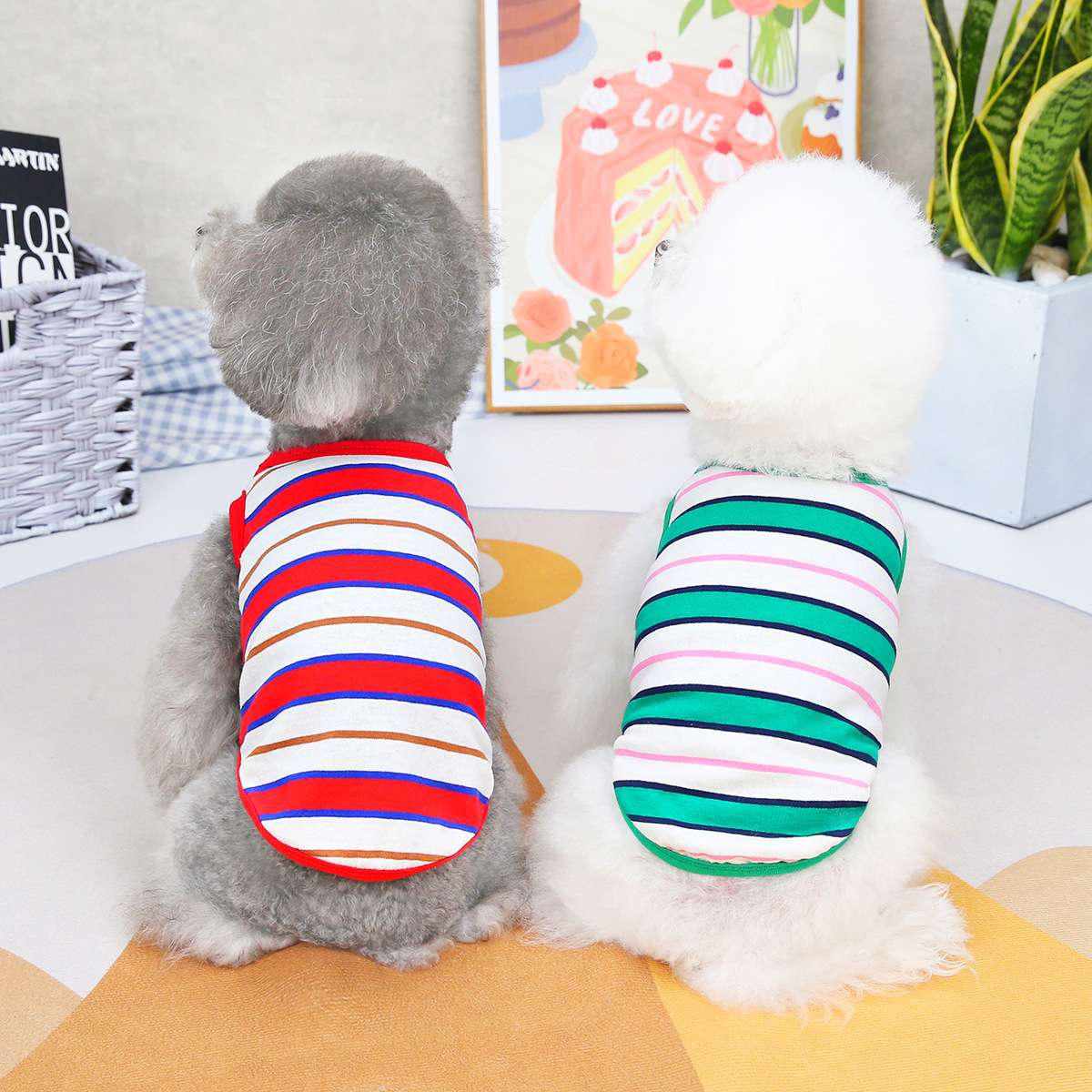 犬服 ふわもこわんちゃんのマリン風ボーダーシャツ