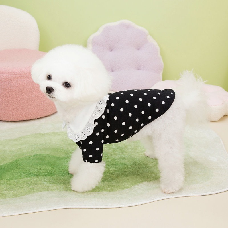 https://fulmo-img-server.com/perry-dog/53f56956-a787-4dee-ae74-4cc8e628e6cb.jpg