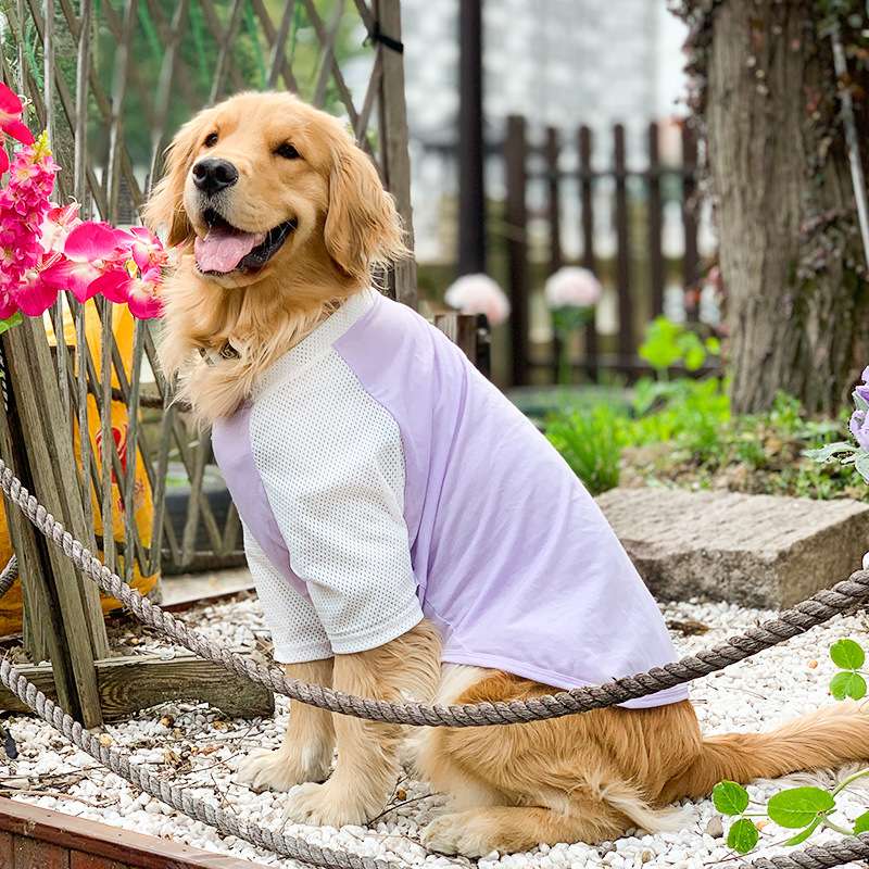 犬服  涼感メッシュ生地の大型犬用Tシャツ