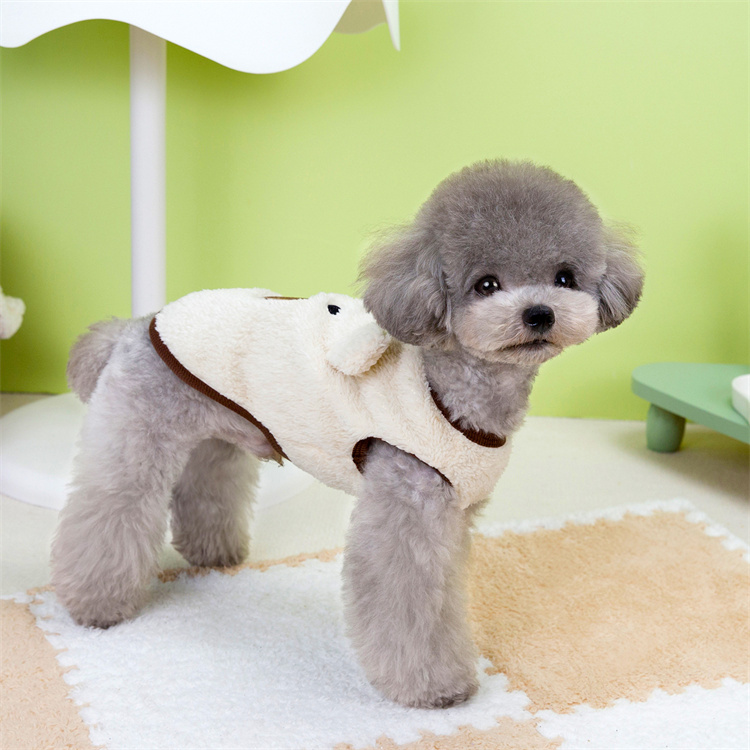 https://fulmo-img-server.com/perry-dog/54e5c25d-1184-429e-86fd-31a89597ce74.jpg