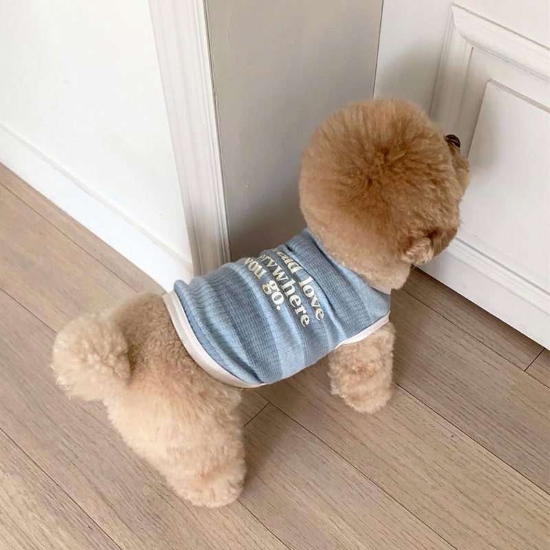 犬服 愛犬へのメッセージ入りボーダーＴシャツ