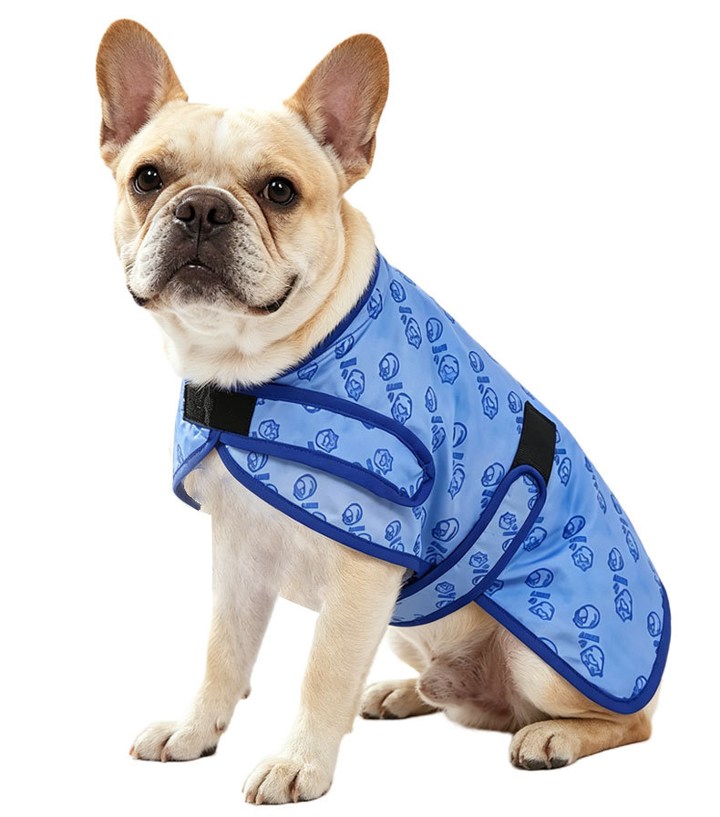https://fulmo-img-server.com/perry-dog/56ff5230-c1b0-4d93-88b2-5b41be336c01.jpg