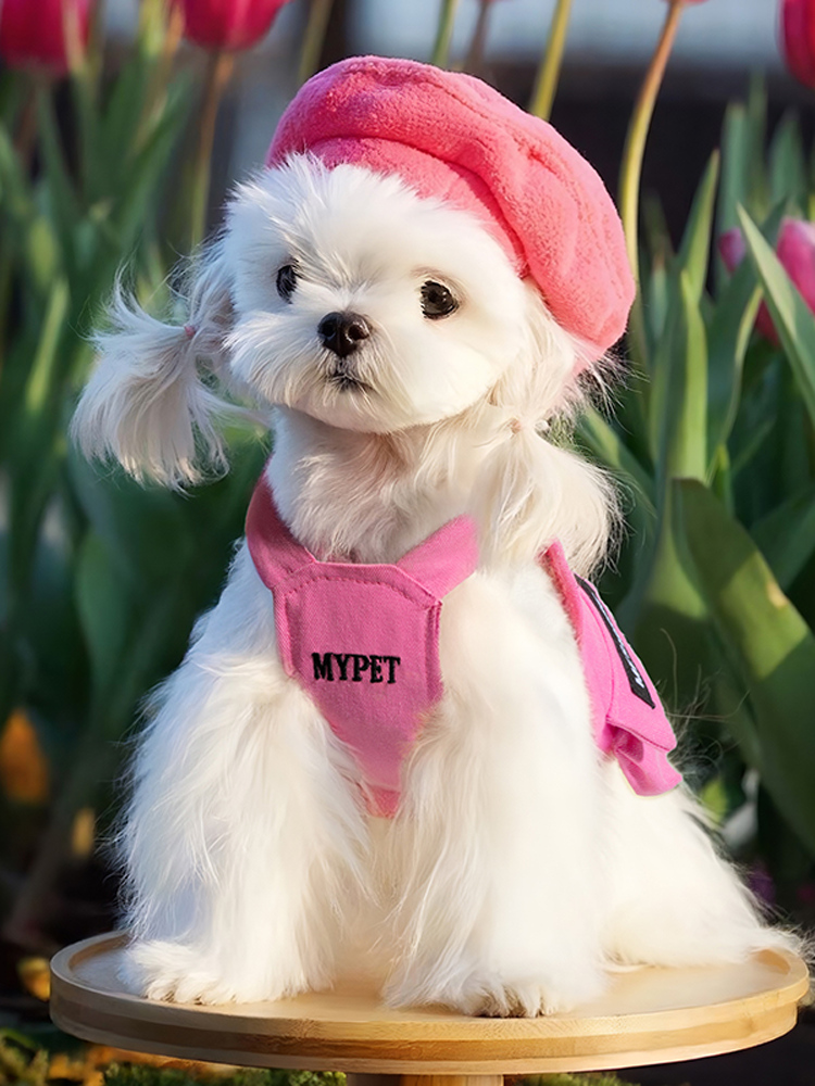 犬服 お散歩アーティストタンクトップ