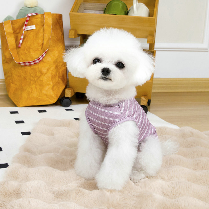https://fulmo-img-server.com/perry-dog/582d852d-c28d-4587-9163-2c92963ab290.jpg
