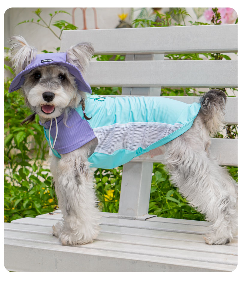 犬服 さわやか夏物語 メッシュ涼感ウェア