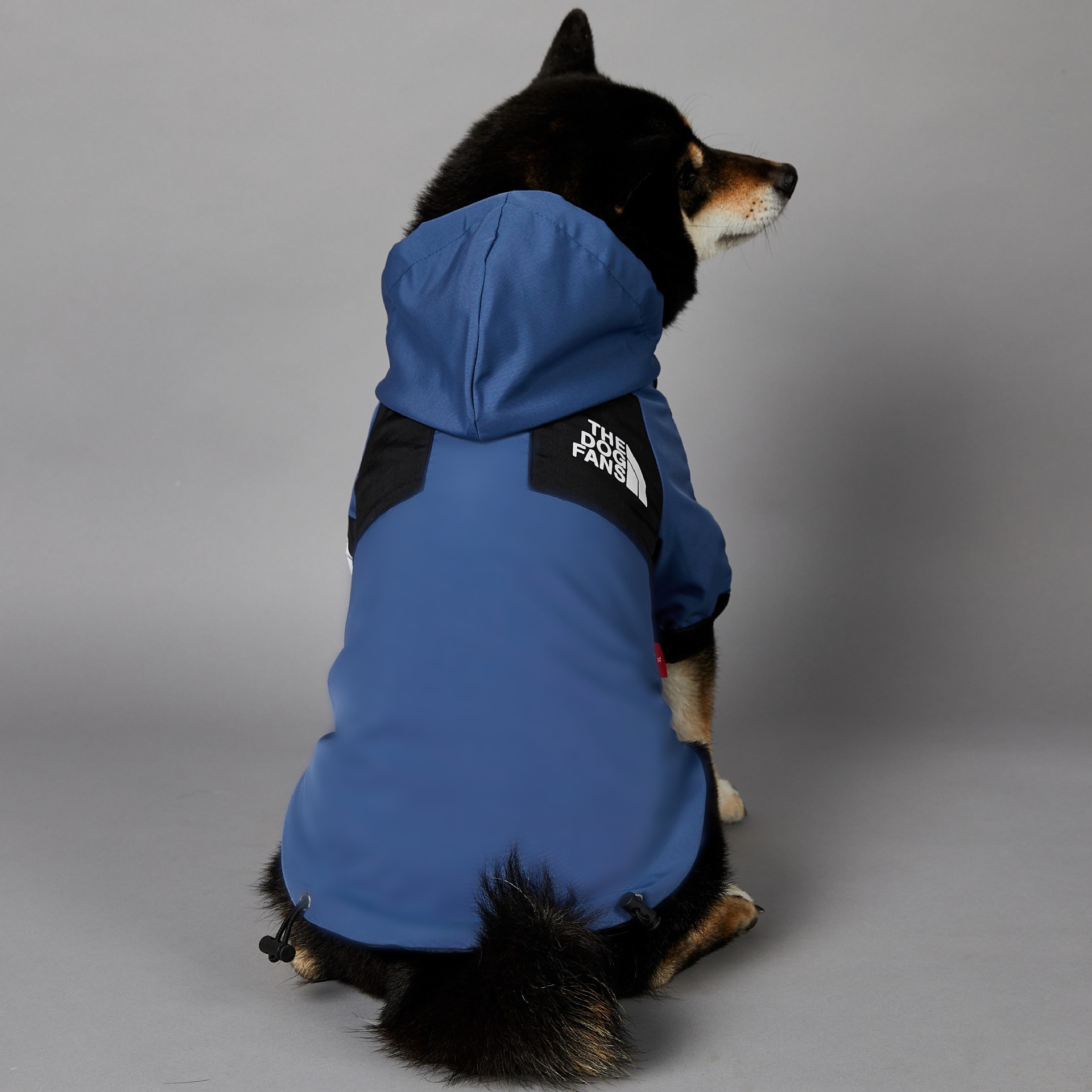 https://fulmo-img-server.com/perry-dog/5995a272-bd30-4273-9842-f12d8faeb416.jpg