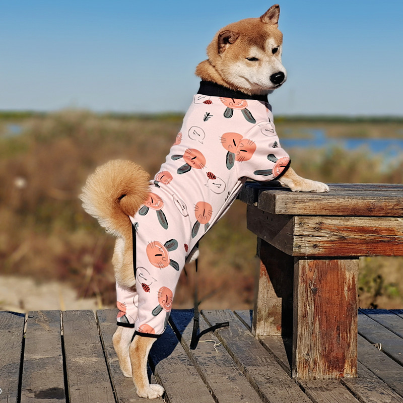 犬服 果物模様の四つ足カバータイプトレーナー