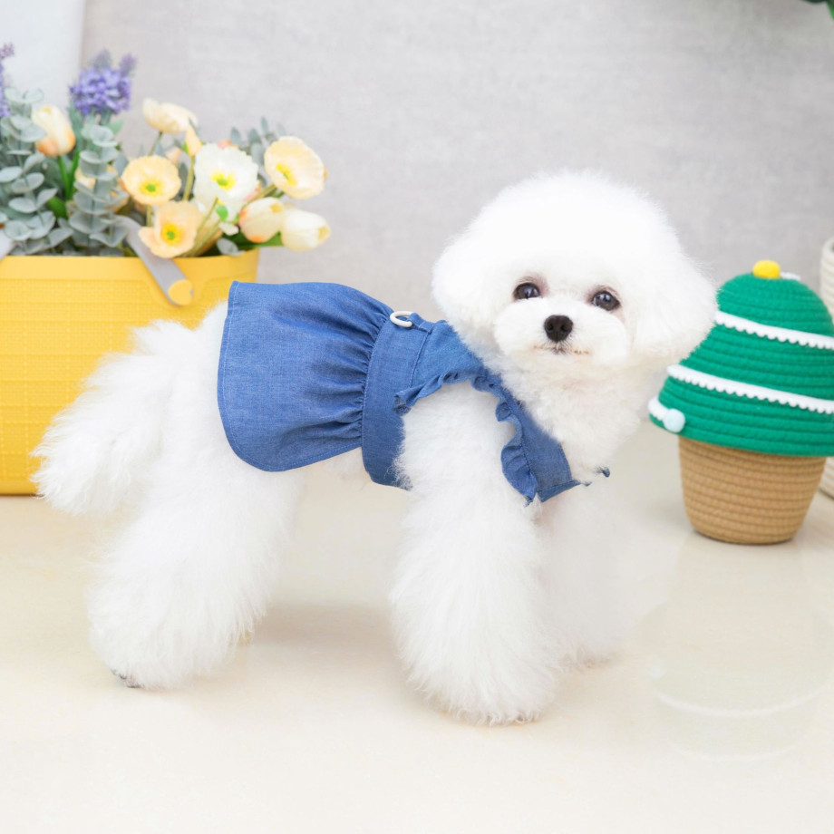 https://fulmo-img-server.com/perry-dog/5a24b33d-ccb1-4f7d-8cdb-674ccf2e1e4a.jpg