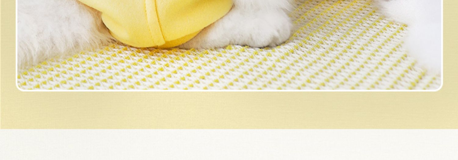 https://fulmo-img-server.com/perry-dog/5a3d42c4-6243-46a7-a937-19fdf3763044.jpg