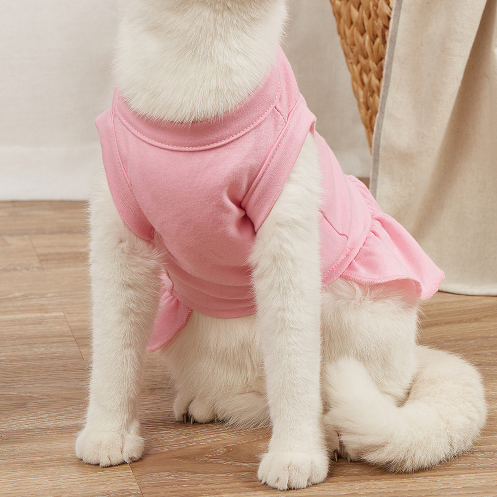 https://fulmo-img-server.com/perry-dog/5a4f2fbe-b9b8-4b70-a95d-ac11efcd3bf6.jpg