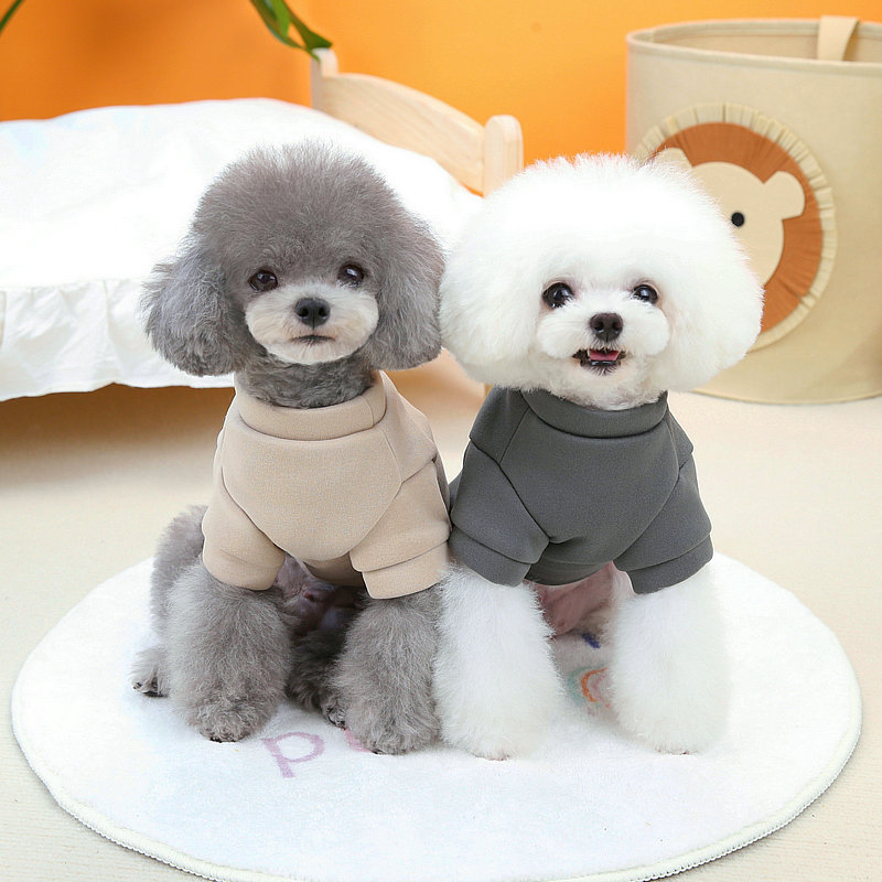 https://fulmo-img-server.com/perry-dog/5a79c583-33a1-49ec-8dd3-2c60e1c9d5e6.jpg
