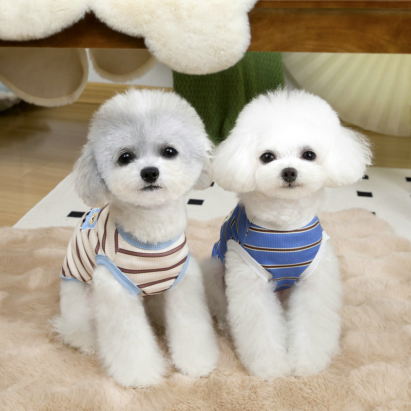 https://fulmo-img-server.com/perry-dog/5b30d2ec-eb8d-40ce-9868-dd855f4c193c.jpg