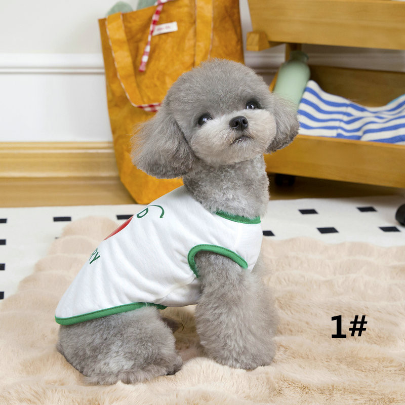 https://fulmo-img-server.com/perry-dog/5c3315fc-f32d-4549-b68b-aa4c33aedd67.jpg