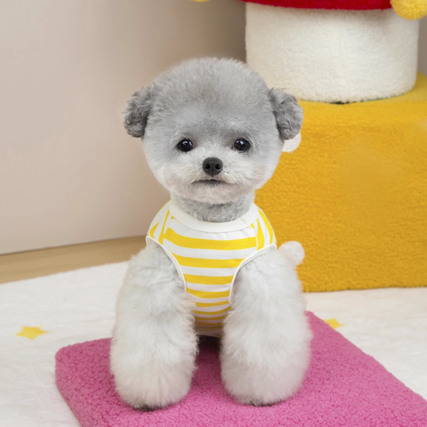 犬服 さわやかボーダークールウェア