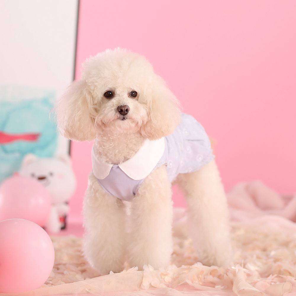 丸襟付き花柄袖切替ワンピース型犬服