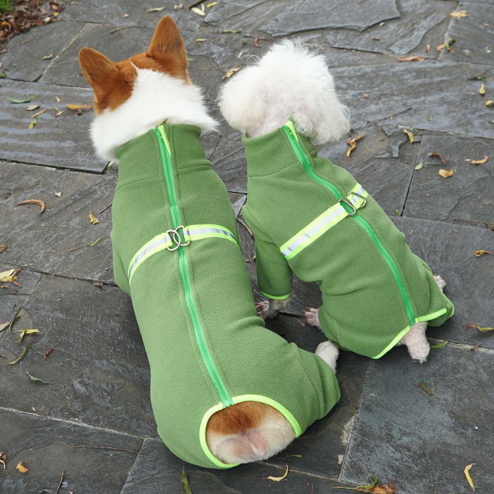 https://fulmo-img-server.com/perry-dog/5dab367e9ae64c74ba14c3e9103bd8e6.jpg