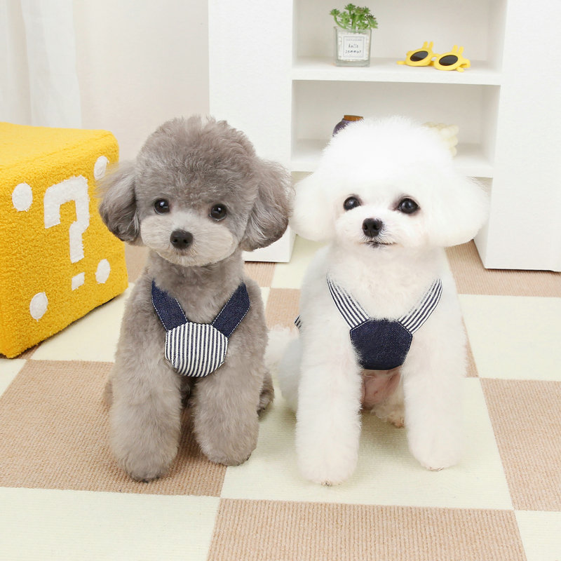 https://fulmo-img-server.com/perry-dog/5dbac22f-8df6-4812-b782-416e82a88680.jpg