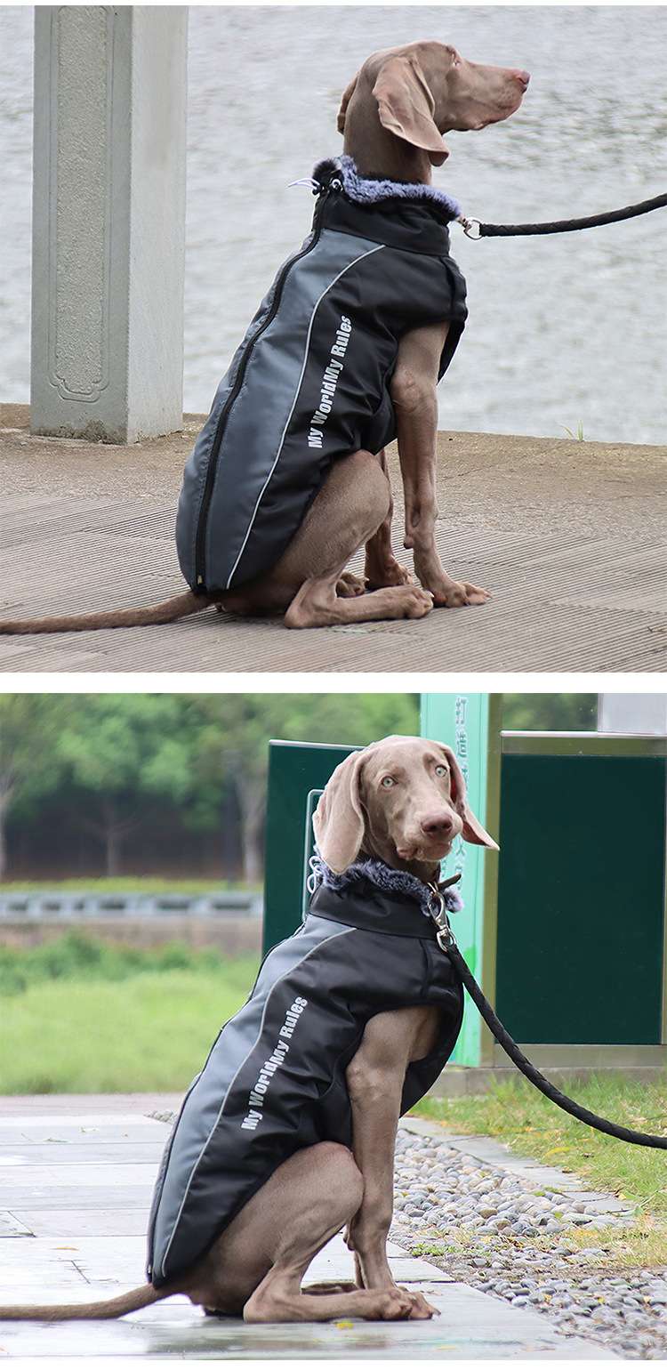 犬服 全天候型アウトドア犬用ジャケット