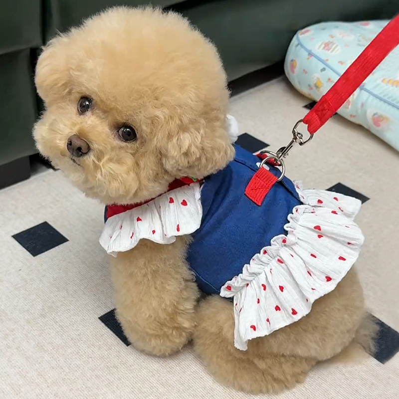 犬服 フリル襟お嬢様ワンピース
