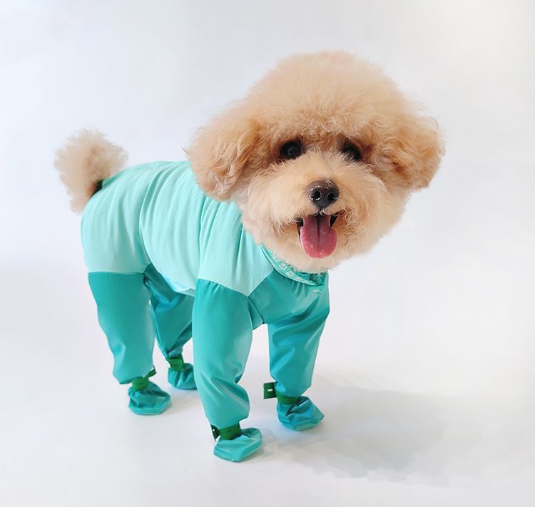 https://fulmo-img-server.com/perry-dog/604c1c11-7454-4f33-8c40-4364d36bc576.jpg