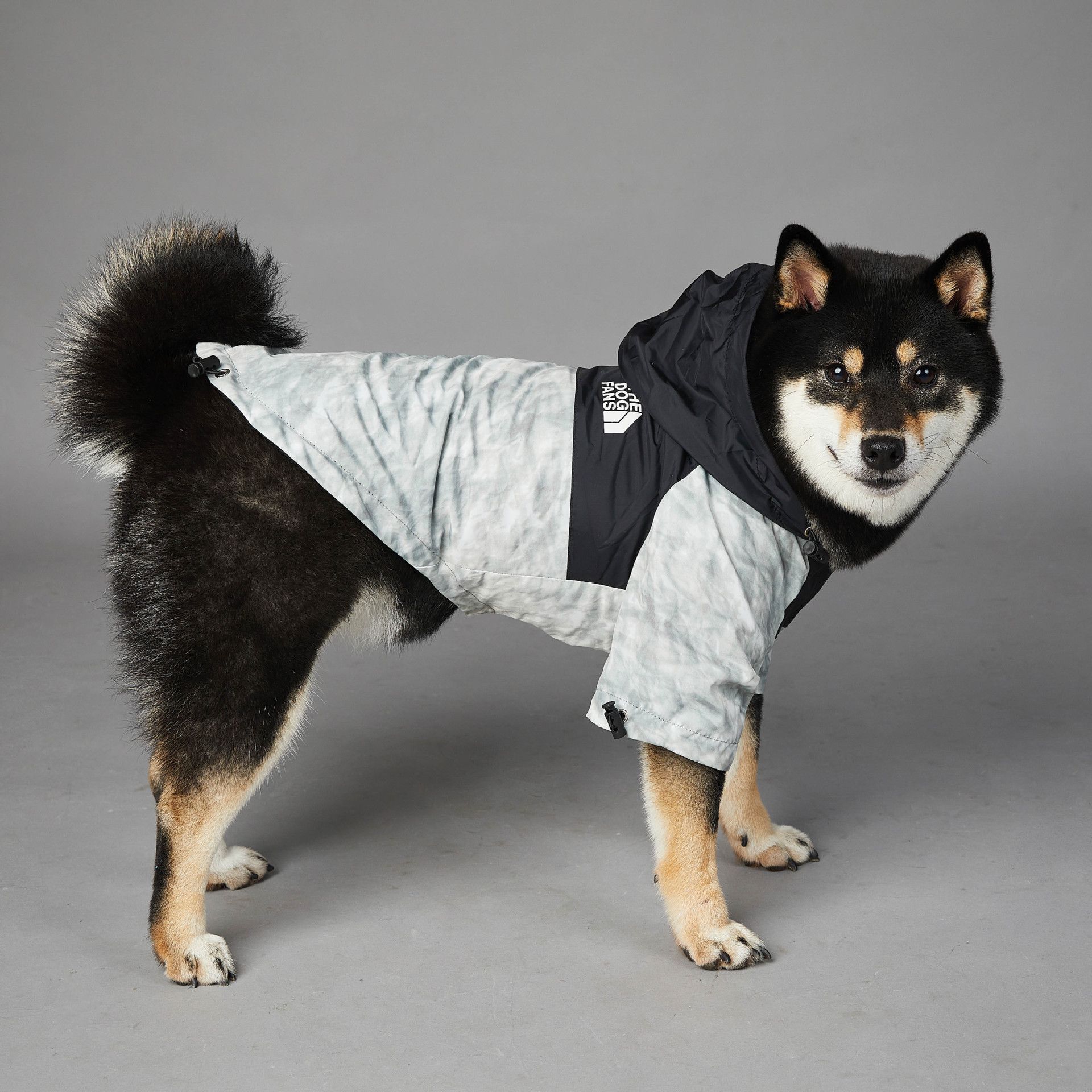 https://fulmo-img-server.com/perry-dog/60bc71e3-dc1f-4b34-a86e-98168e4eaa96.jpg