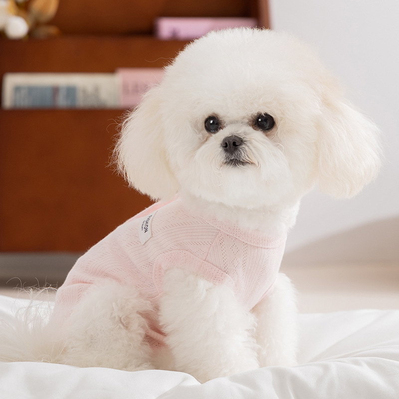 https://fulmo-img-server.com/perry-dog/6128abd6-a2e7-4333-a725-f0768ba391f8.jpg