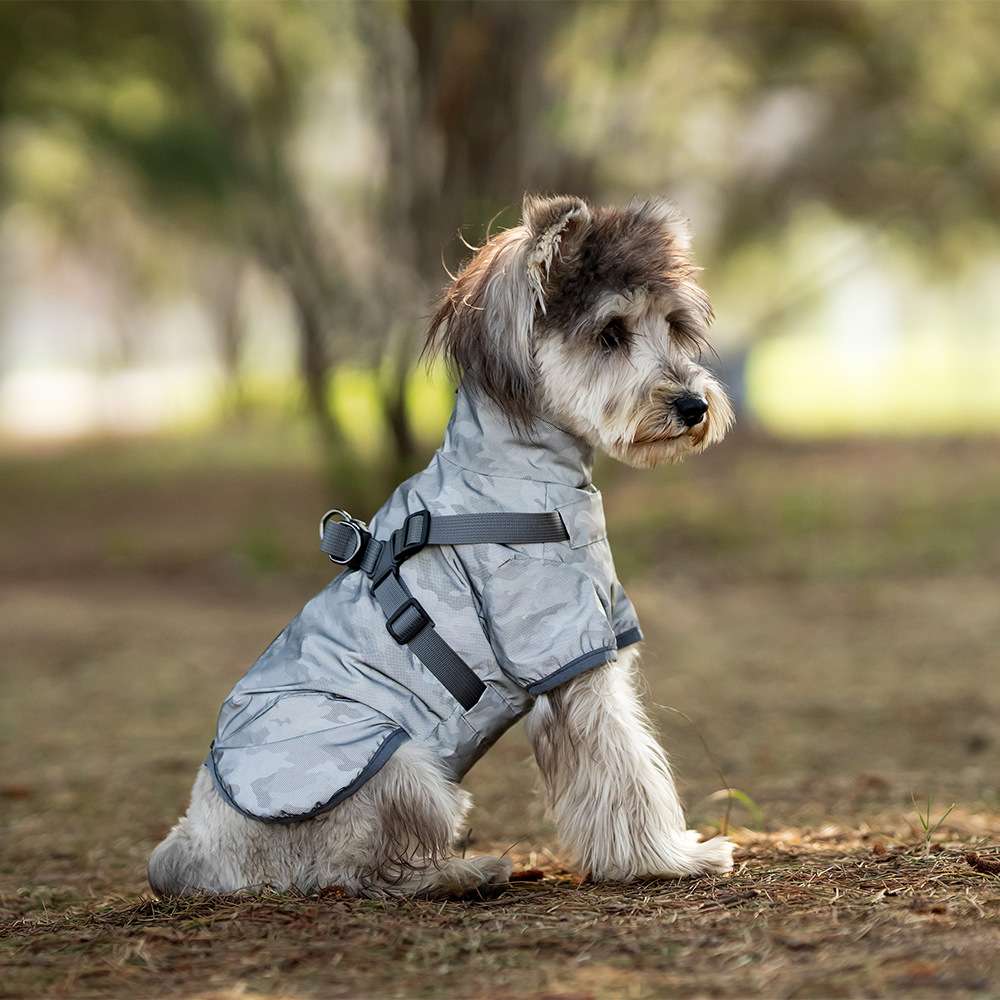 中型犬〜小型犬用オールウェザーコート〈レインウェア〉