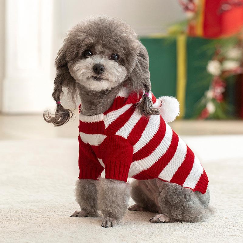 犬服 ふわもこポンポン付きボーダーニット