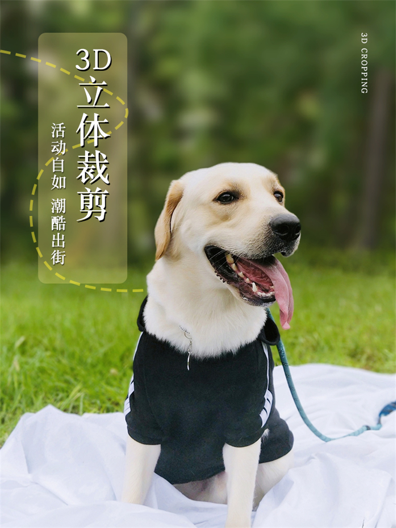 犬服 中国風漢字デザイン裏起毛パーカー
