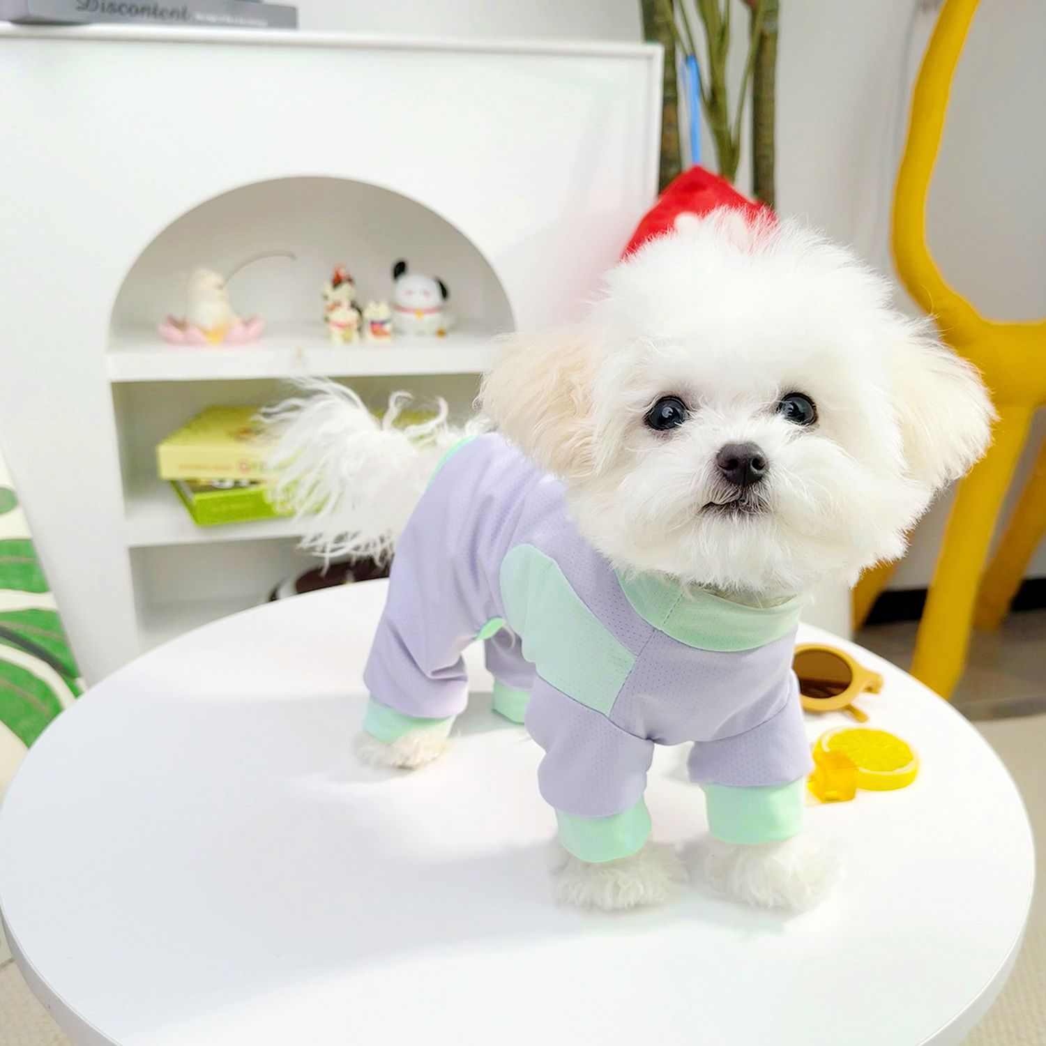 犬服 ふわもこパステルつなぎ
