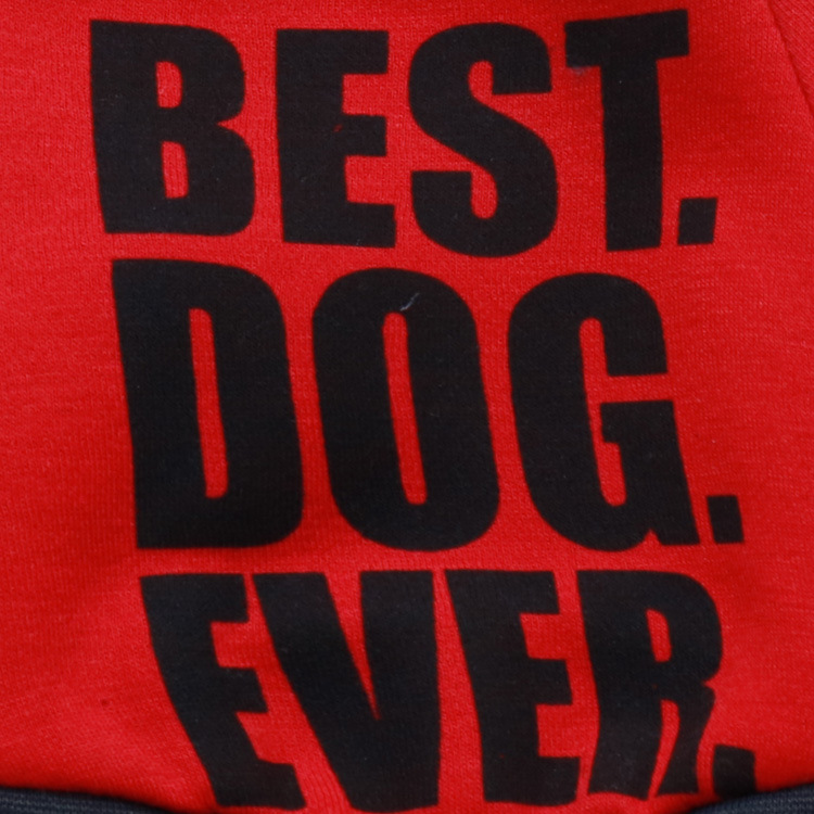 犬服 最高の愛犬メッセージ入り裏起毛トレーナー