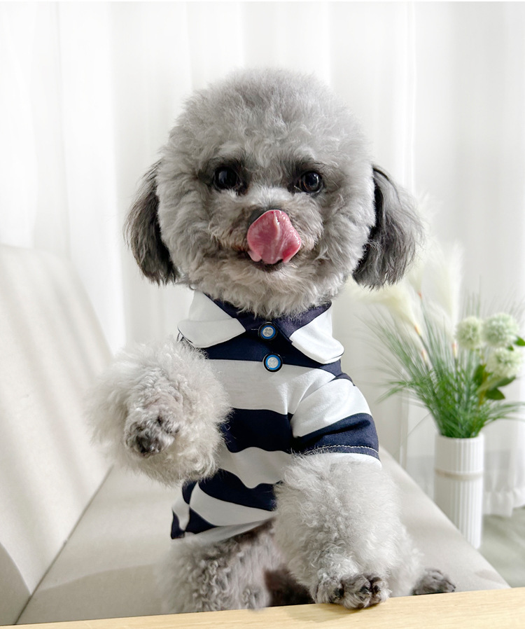 https://fulmo-img-server.com/perry-dog/625c8748-4c9c-4b79-a022-9a4e53fab486.jpg