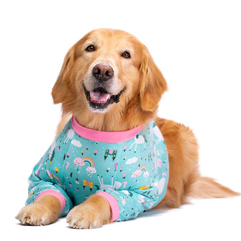 犬服  大型犬用フェアリー柄Tシャツ