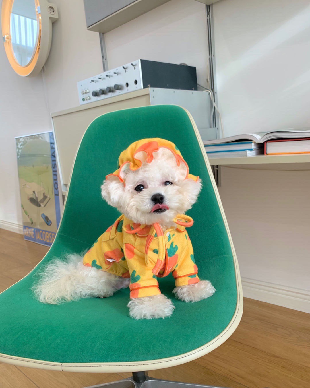 犬服 ふわもこ野菜パターンパジャマ