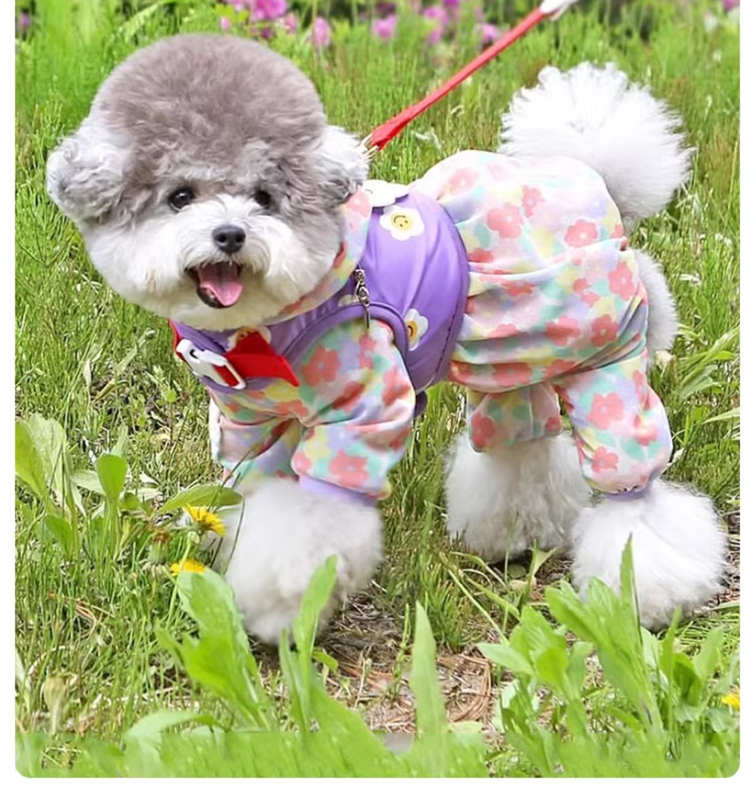 犬服 お花畑フードパーカー涼感